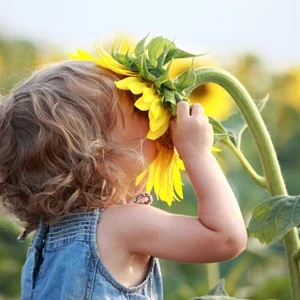 A toddler sniffing a large sunflower the size of their face
